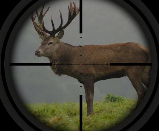 av2-555x458